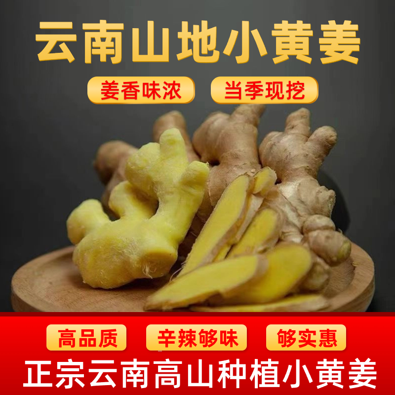 云南小黄姜香味浓郁辛辣够味现挖山地种植生姜产地直销新鲜姜