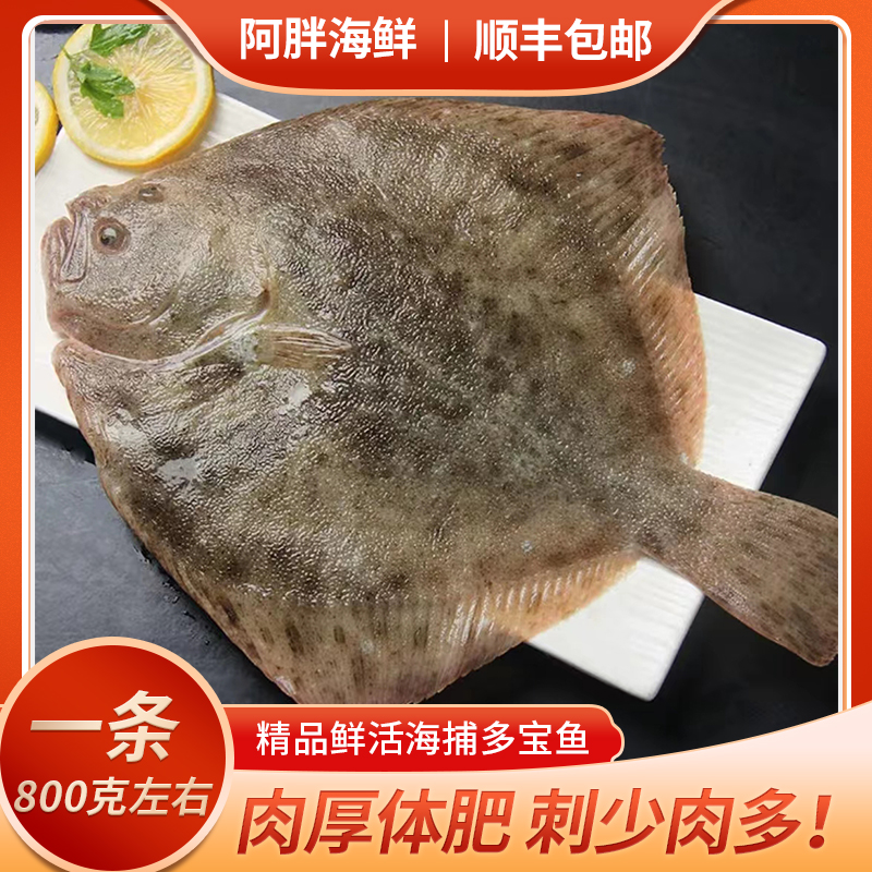 阿胖推荐~鲜活多宝鱼（处理好的哟）一条800克左右