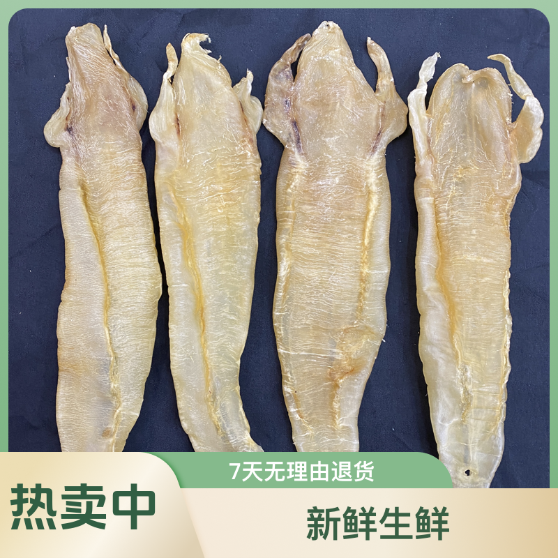 【隆盛滋补】巴公 北海公胶 1-500g (直播间现称花胶)