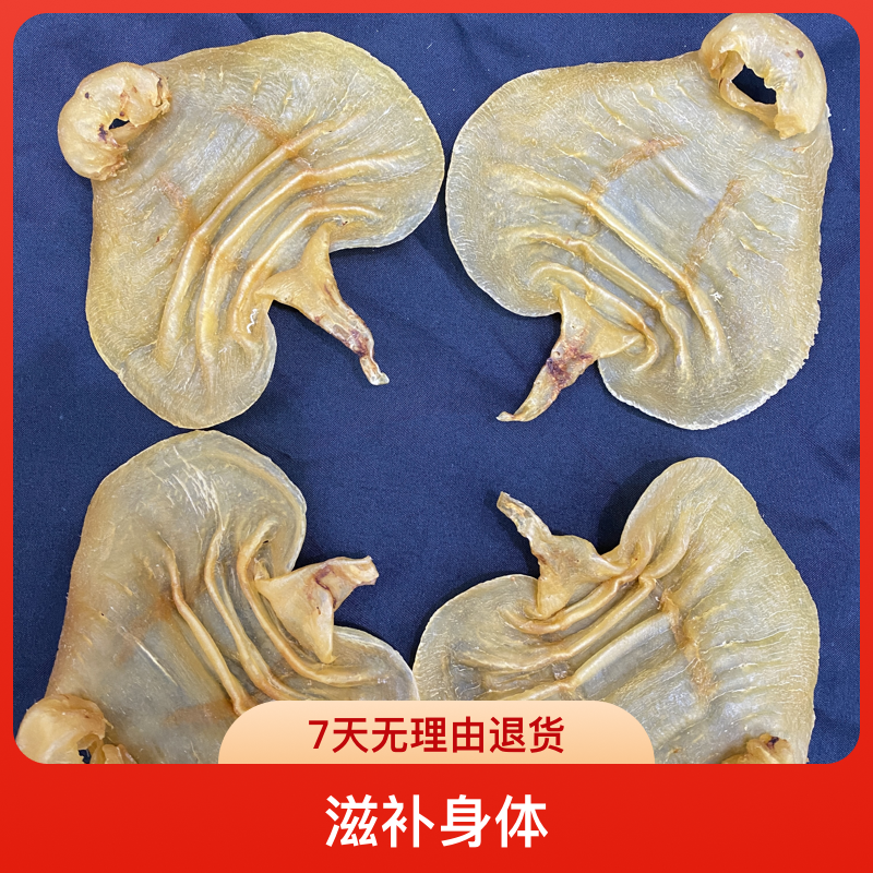 【隆盛滋补】湛江赤嘴公 鱼胶 1-500g