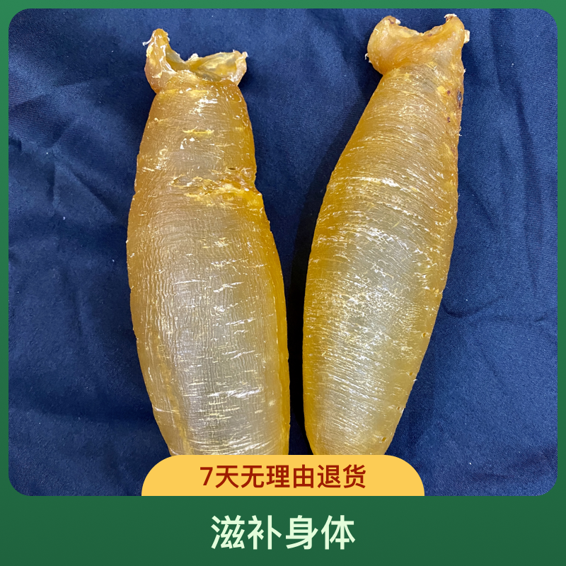 【隆盛滋补】野货正南湛江赤嘴母筒1-500g（直播间现称鱼胶）
