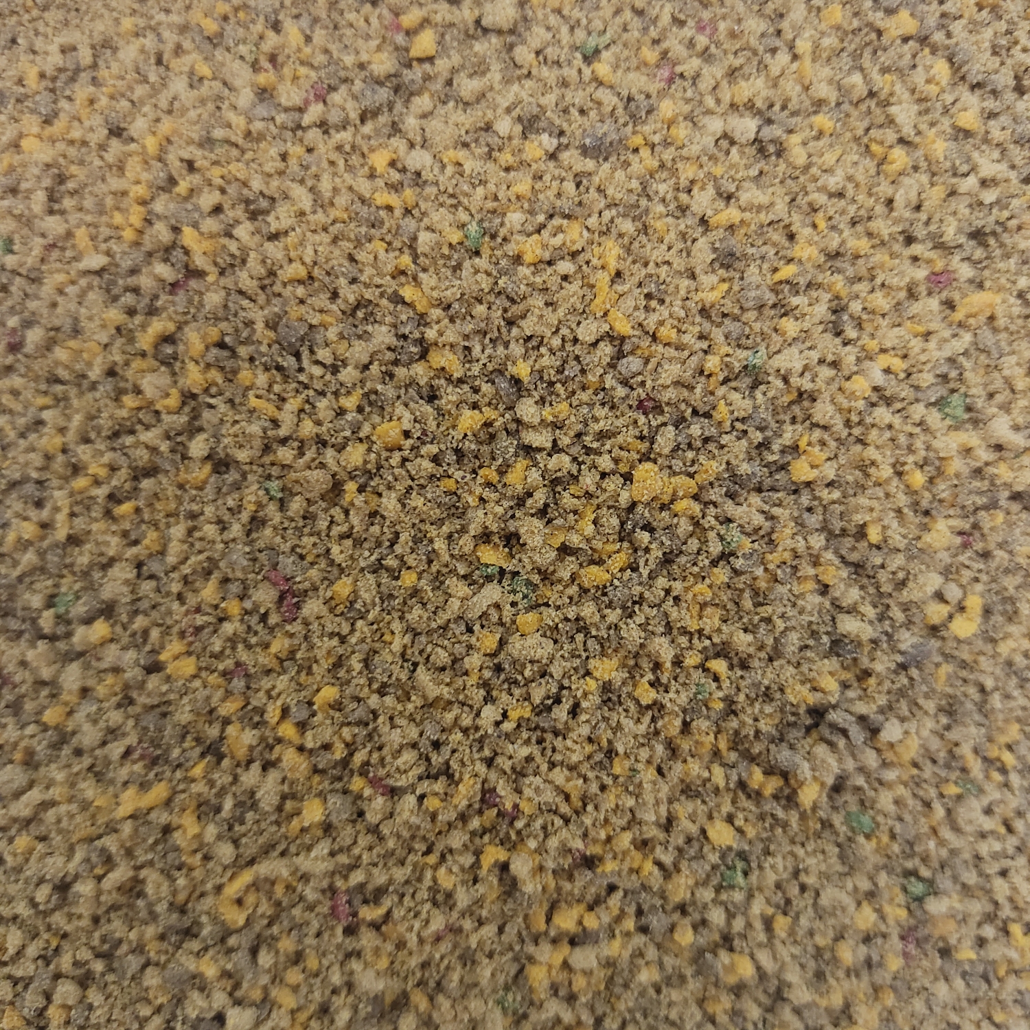 黑坑专用饵料 高蛋白面