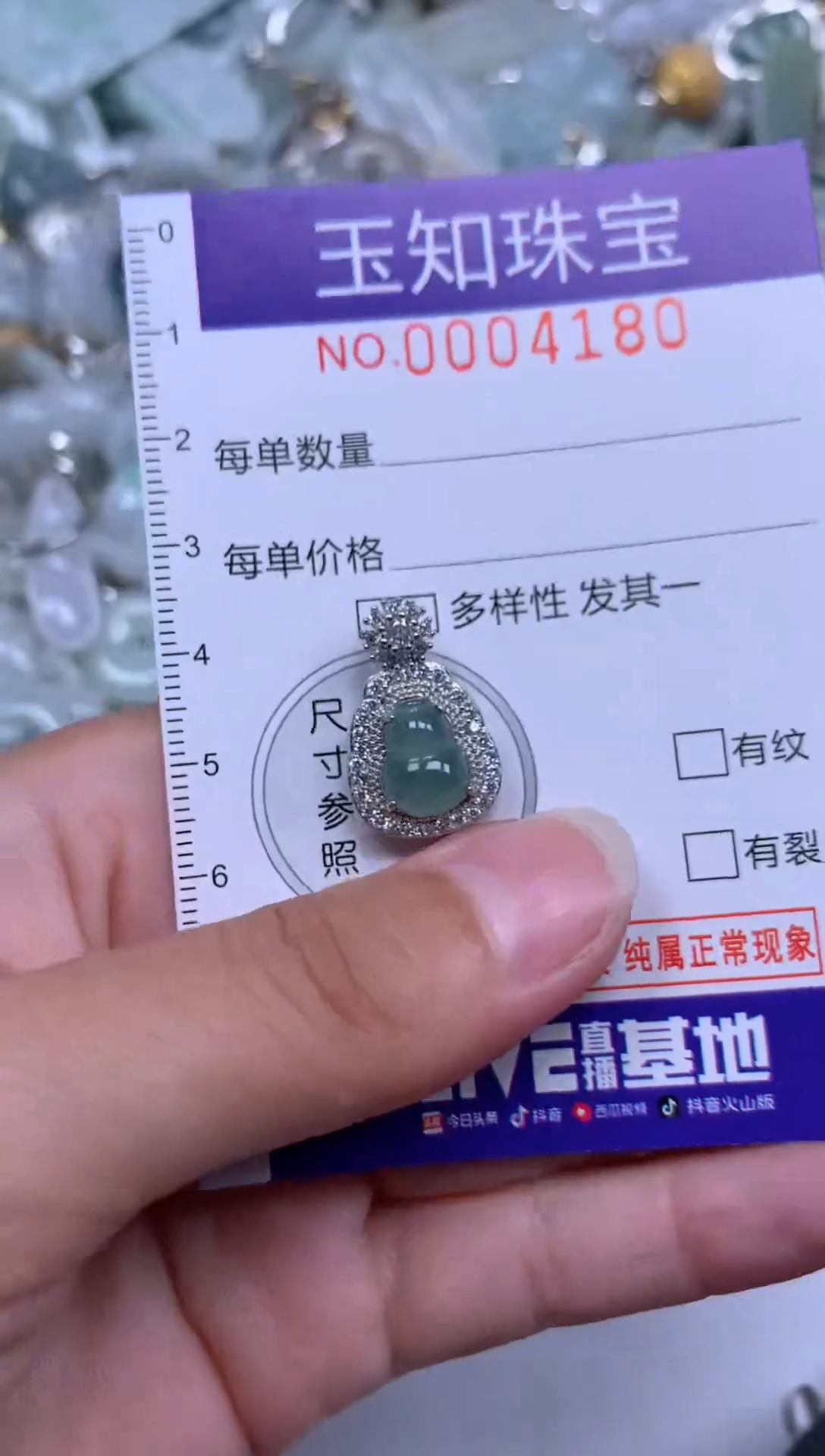 【闪购商品】翡翠颈饰未镶嵌4180去