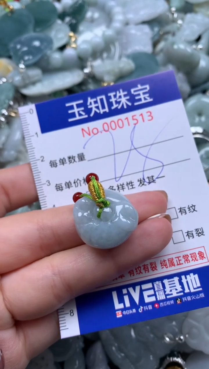 【闪购商品】翡翠颈饰未镶嵌1513配绳子