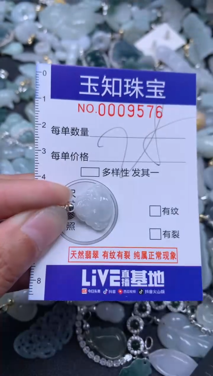 【闪购商品】翡翠颈饰未镶嵌9576翡翠