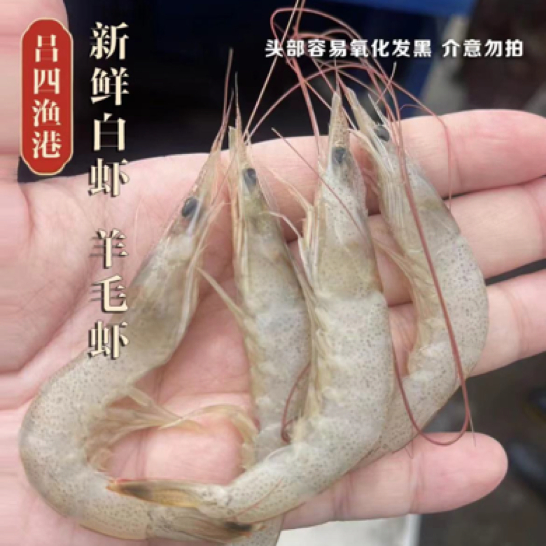 吕四渔港白条虾 5斤起江浙沪包邮
