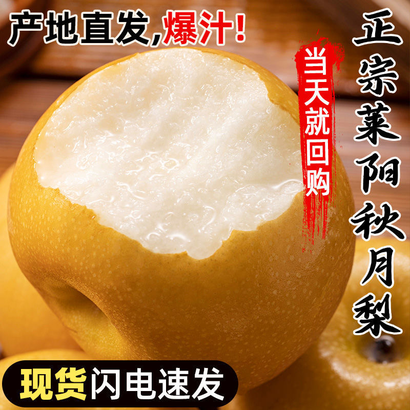 秋月梨现摘现发新鲜