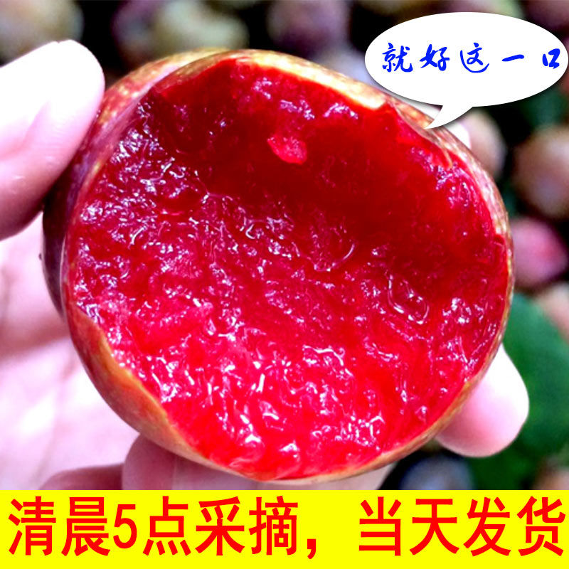 【顺丰冷链包邮】正宗钱排银妃三华李3分甜7分酸新鲜李子2/3/5斤装