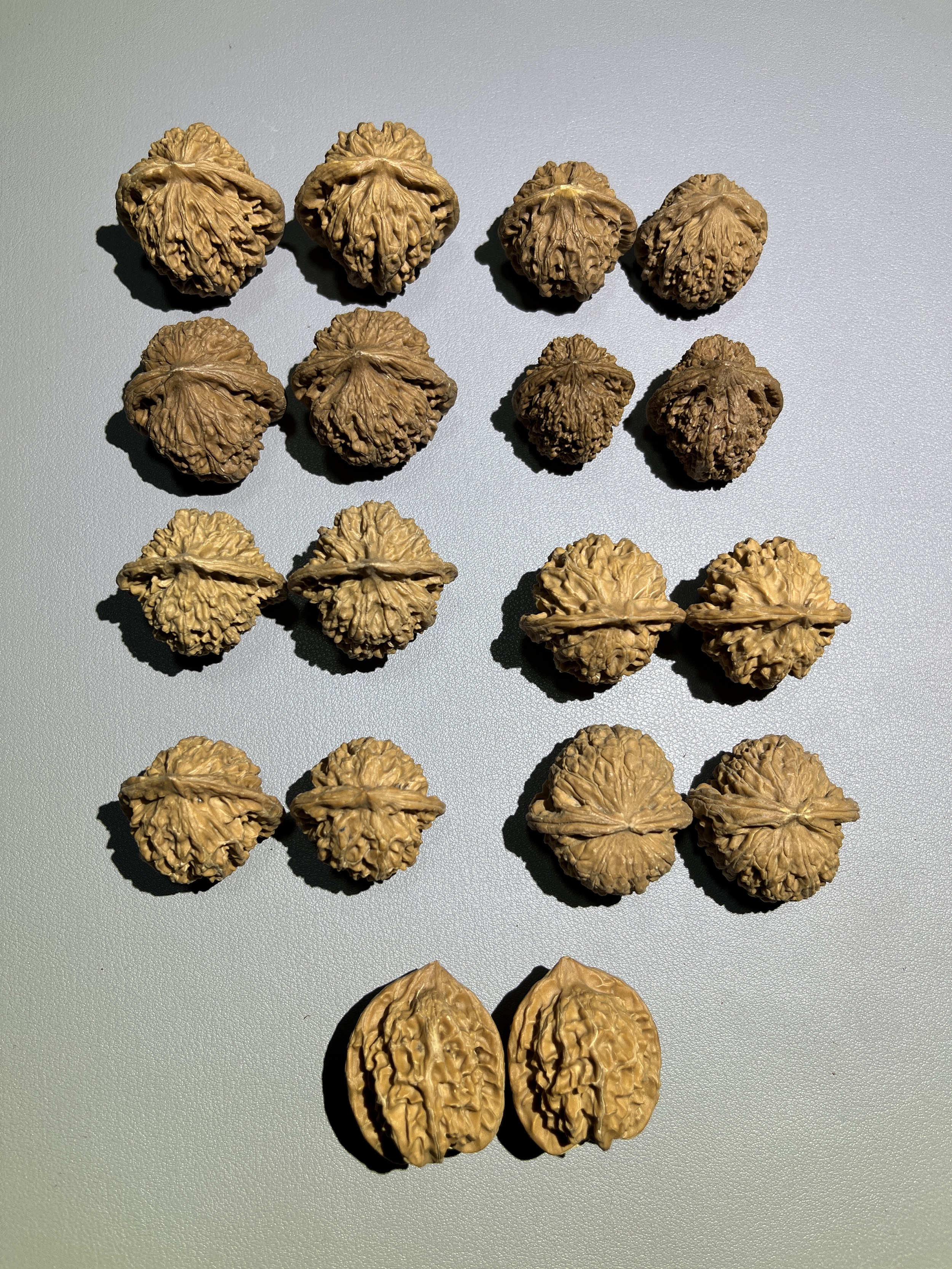 A87狮子头官帽满天星麒麟纹白狮子手捻桩型尺寸多样 中小文玩核桃