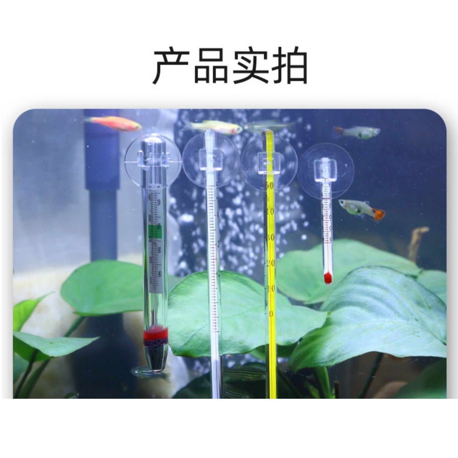 鱼缸水温显示器水族温度计