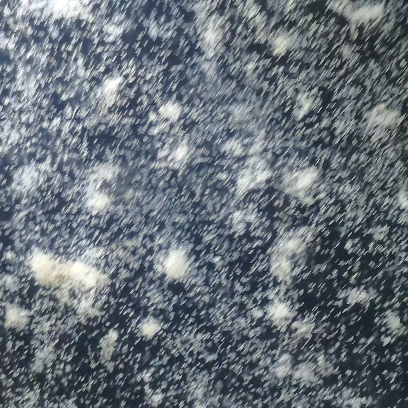 顺丰包邮洄水草履虫活体金波子斗鱼斑马鱼天使水花苗针苗开口专用