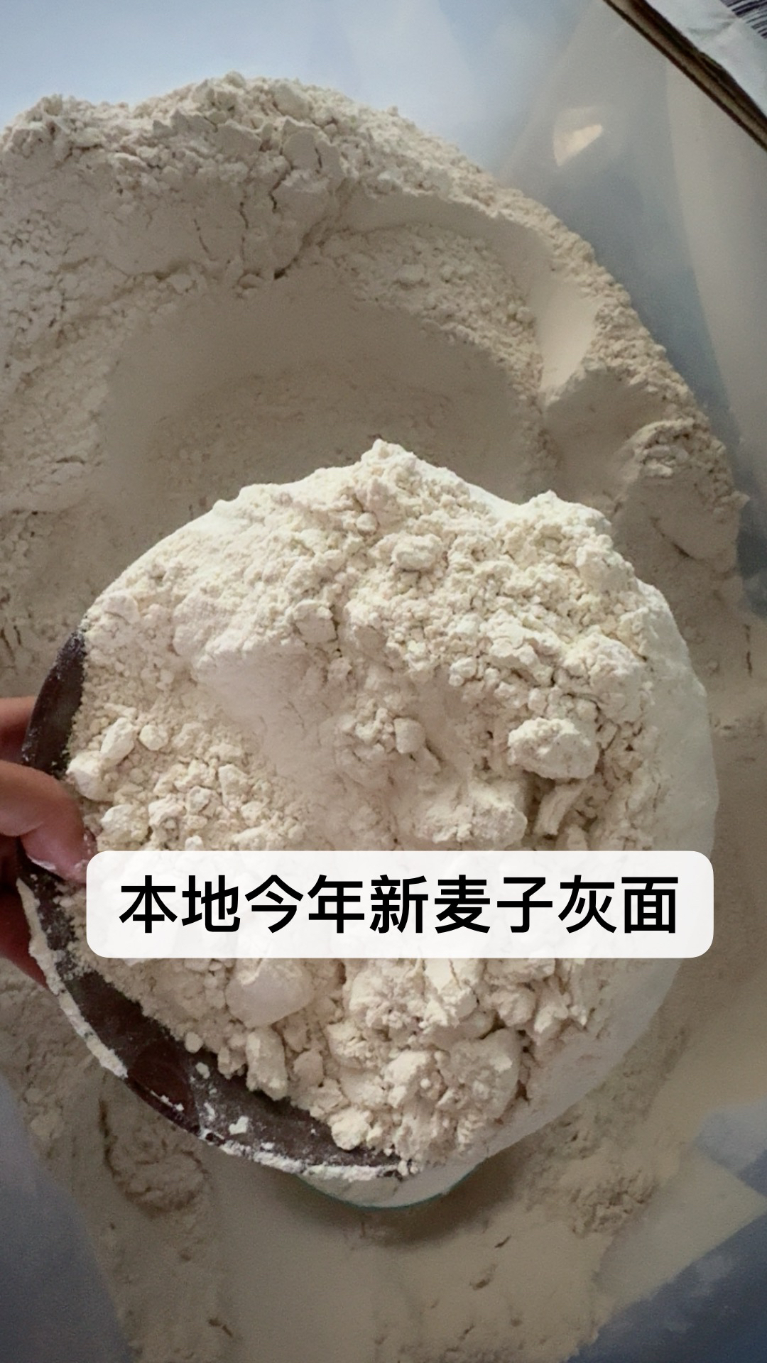 镇雄本地麦子灰面