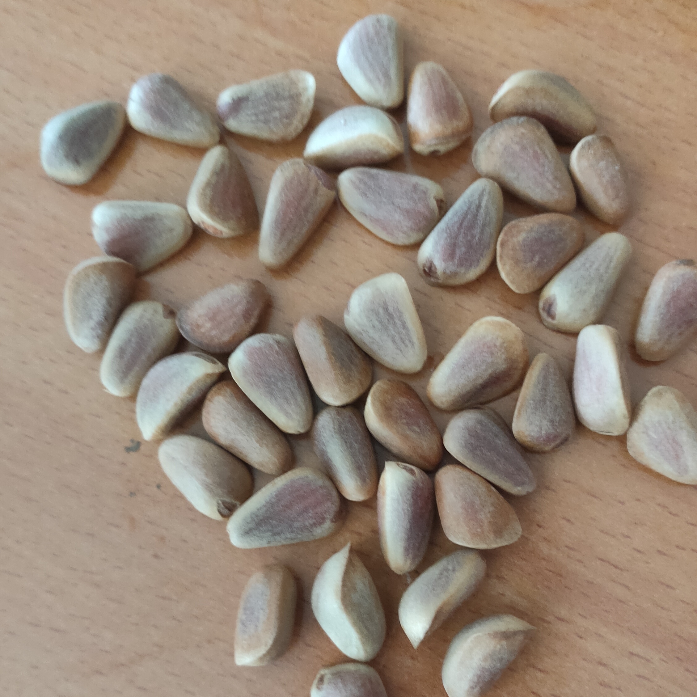 长白山生的塔干大粒红松子原生态健康坚果，甜，香的口感。