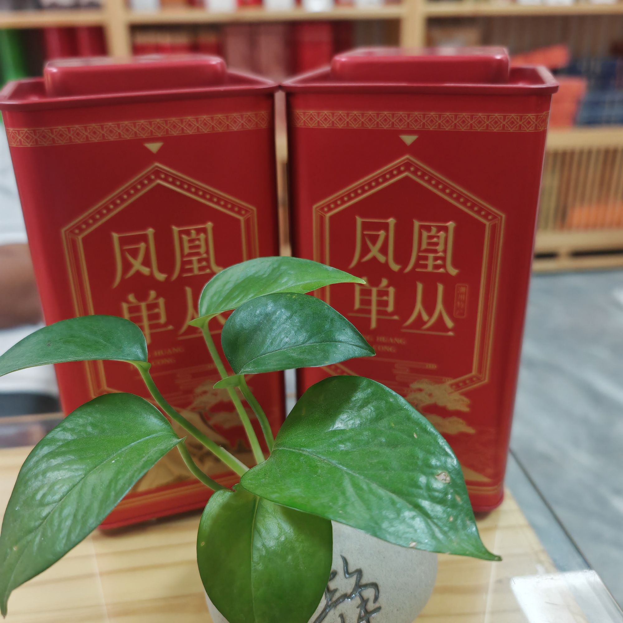 烟窝婶专属，单丛茶雪片清香型盒装