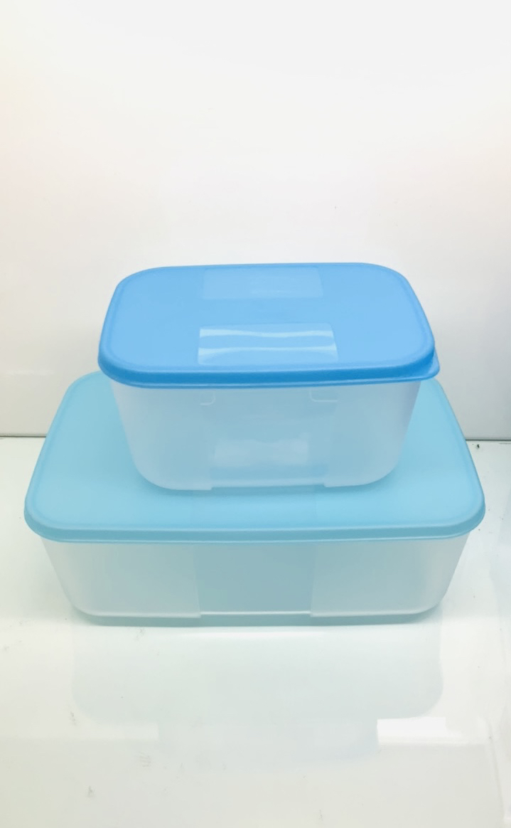 特百惠冷冻2件套1.7升和700毫升各1个