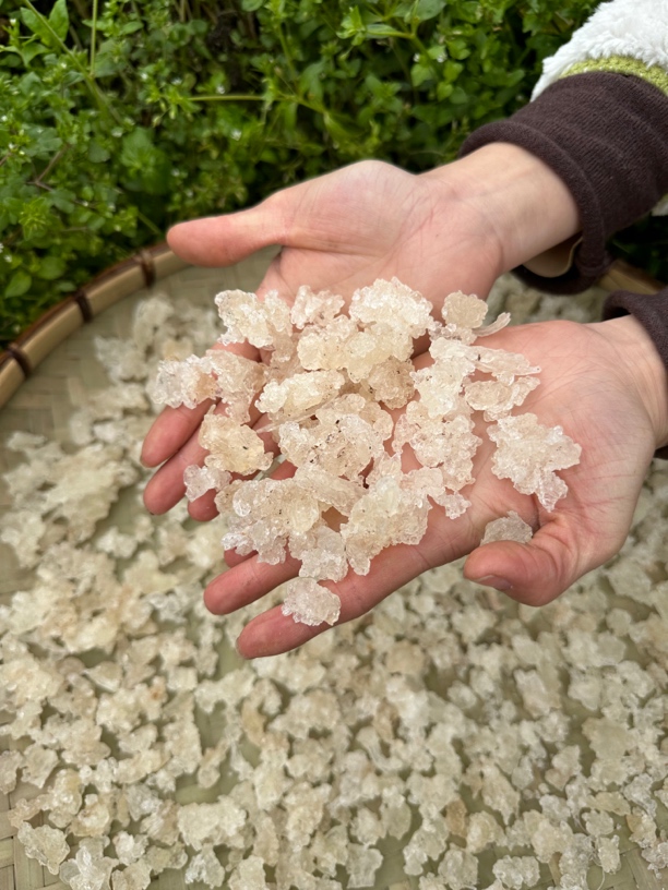 山货雪燕 250克 农产品 平时可搭配桃胶