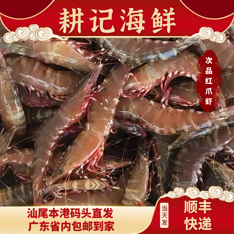 （次品）汕尾马宫港深海捕捞天然野生红爪虾鲜活锁鲜发货3-5斤