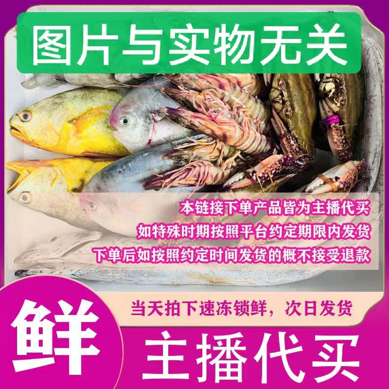【乌头妹3】阳江现场称海鲜海鱼杂鱼1-100斤[直播间改价格]