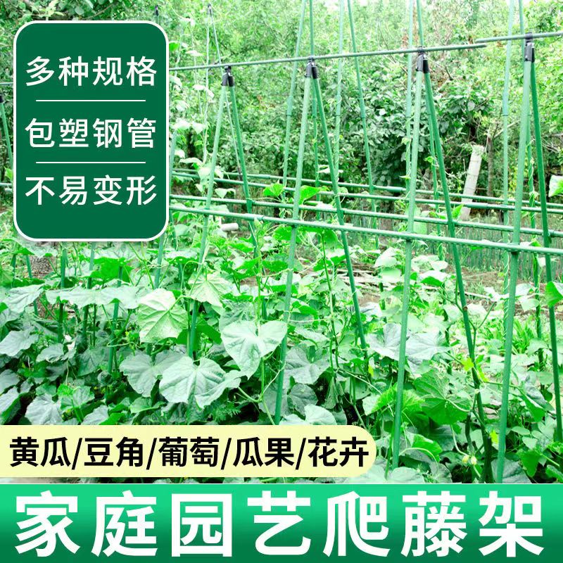 黄瓜番茄爬藤植物支撑杆阳台包塑月季杆子园艺包塑葡萄架植物支架