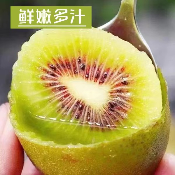 [产地甄选]四川优质软糯红心猕猴桃20-24枚整箱单个70到110g