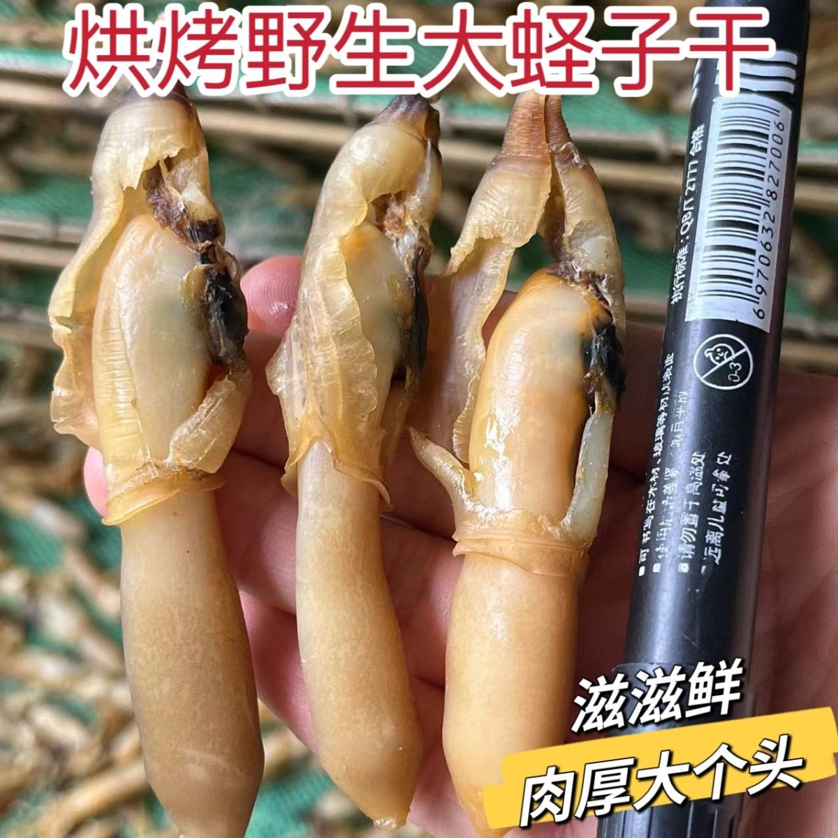 海蛏福建莆田干货蛏干蛏子干香辣竹节蛏小人仙干丹东特产即食蛏活