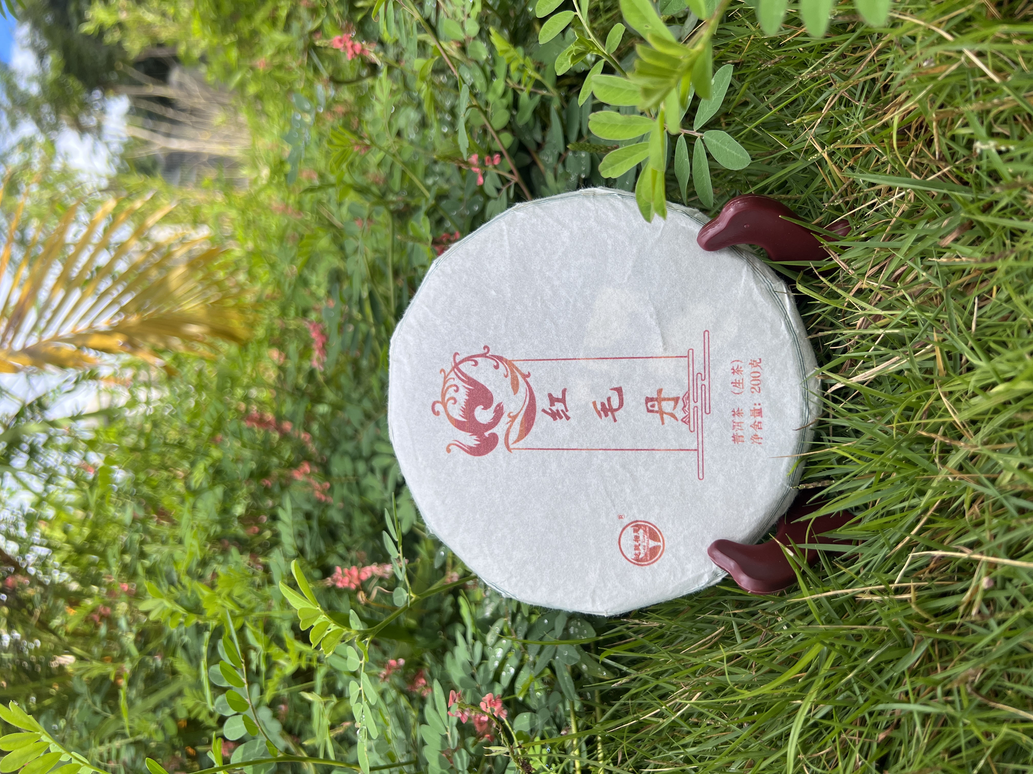 云南普洱茶生茶2015年（莽枝） 红毛丹  200克饼