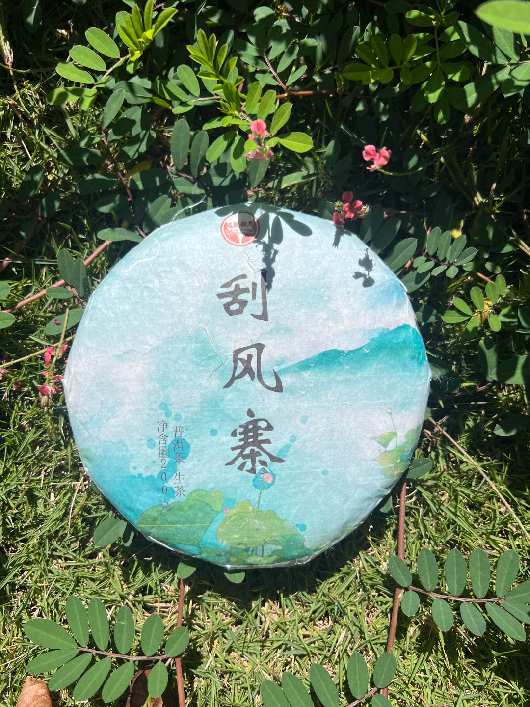 云南普洱茶生茶2022年刮风寨200克