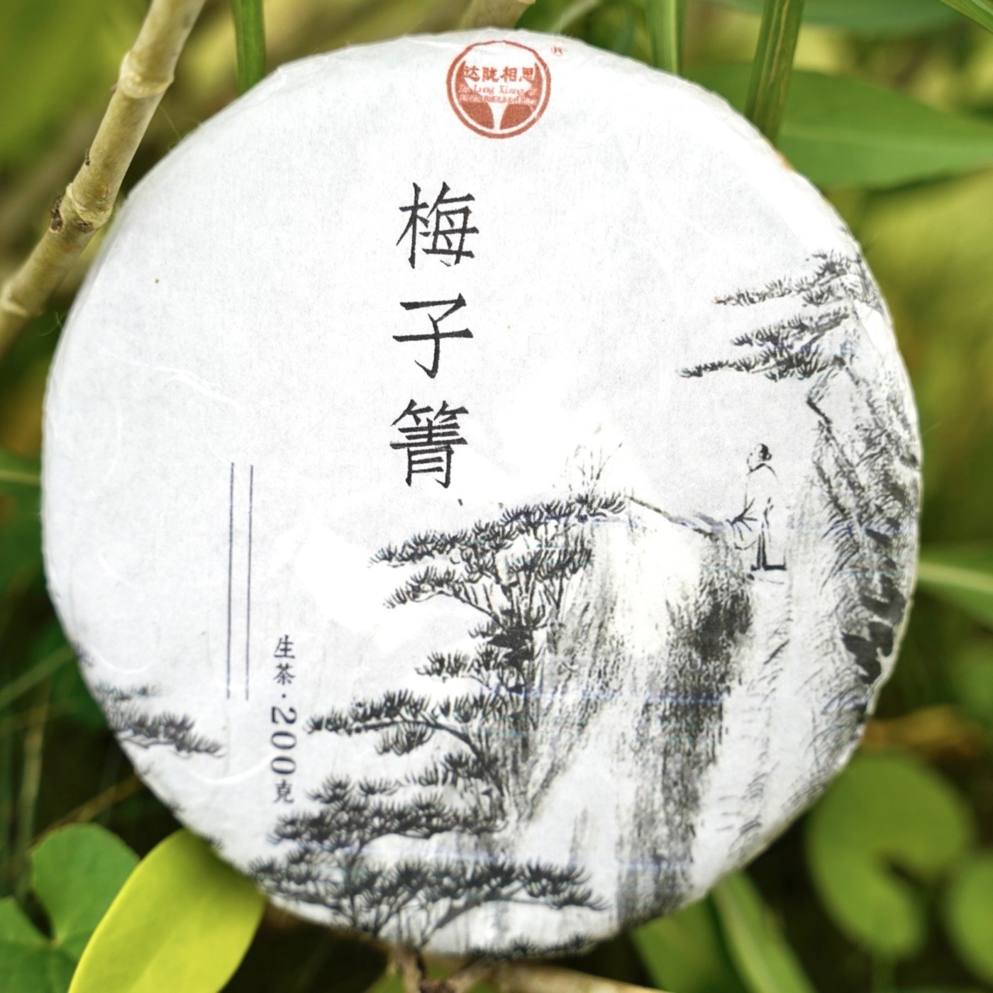 云南普洱茶生茶2022年梅子箐200克饼