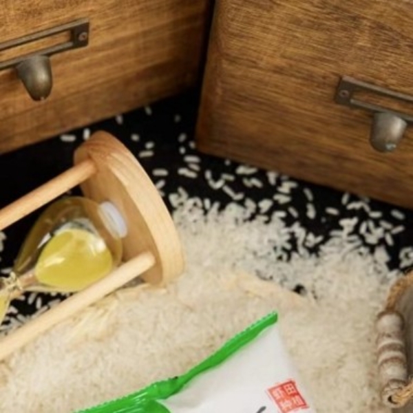 【包邮】多拍多发。拍一次发500g>有问题联系客服 由乌龙茶推荐