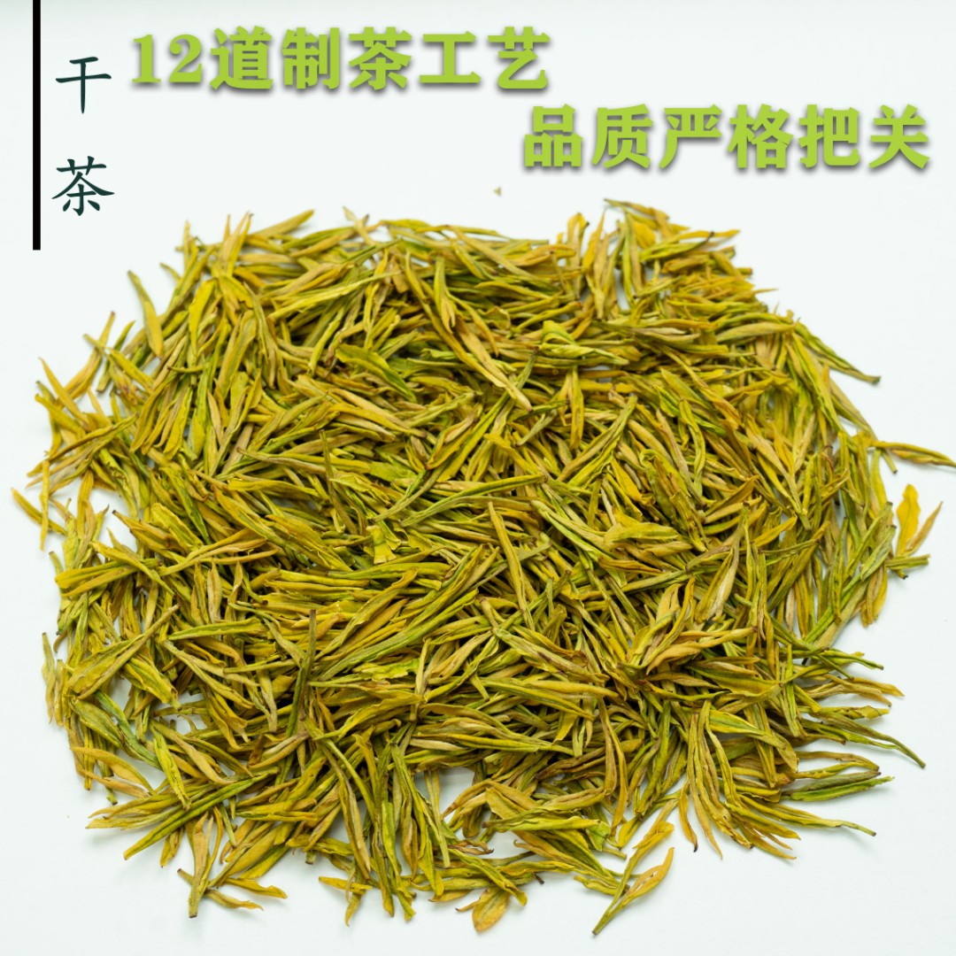 【2025黄金芽-12】叶尖香黄金芽