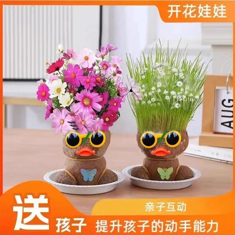 草头娃娃可爱小盆栽头上长草小植物浇水长草娃娃绿植儿童观察生长