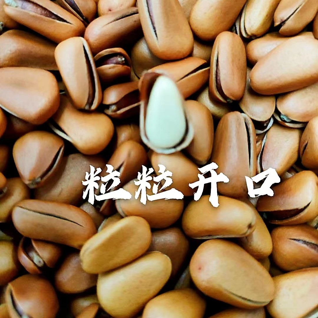 2号开口松子一份