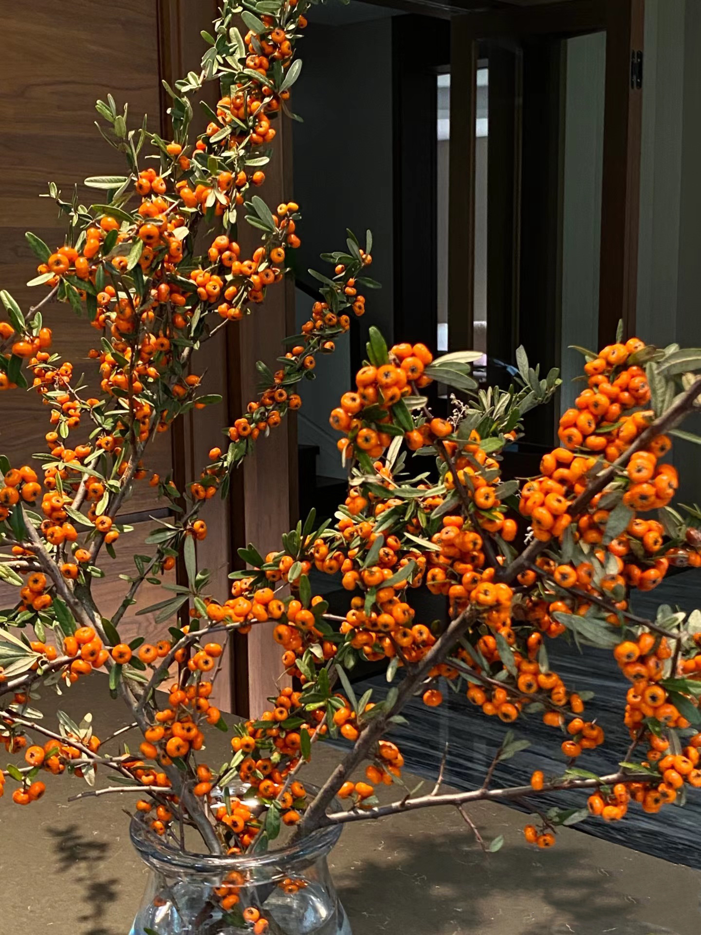 沙棘果   氛围感满满