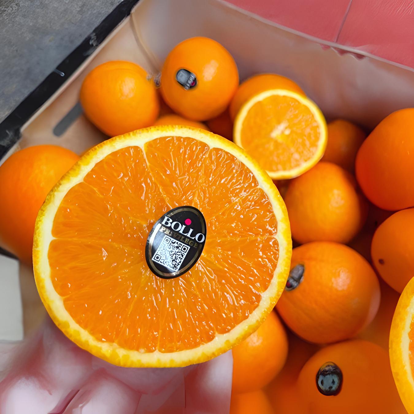 【陈灵岳甄选】西班牙宝露甜橙新鲜好吃一份5-15个 净重约3.5-11斤