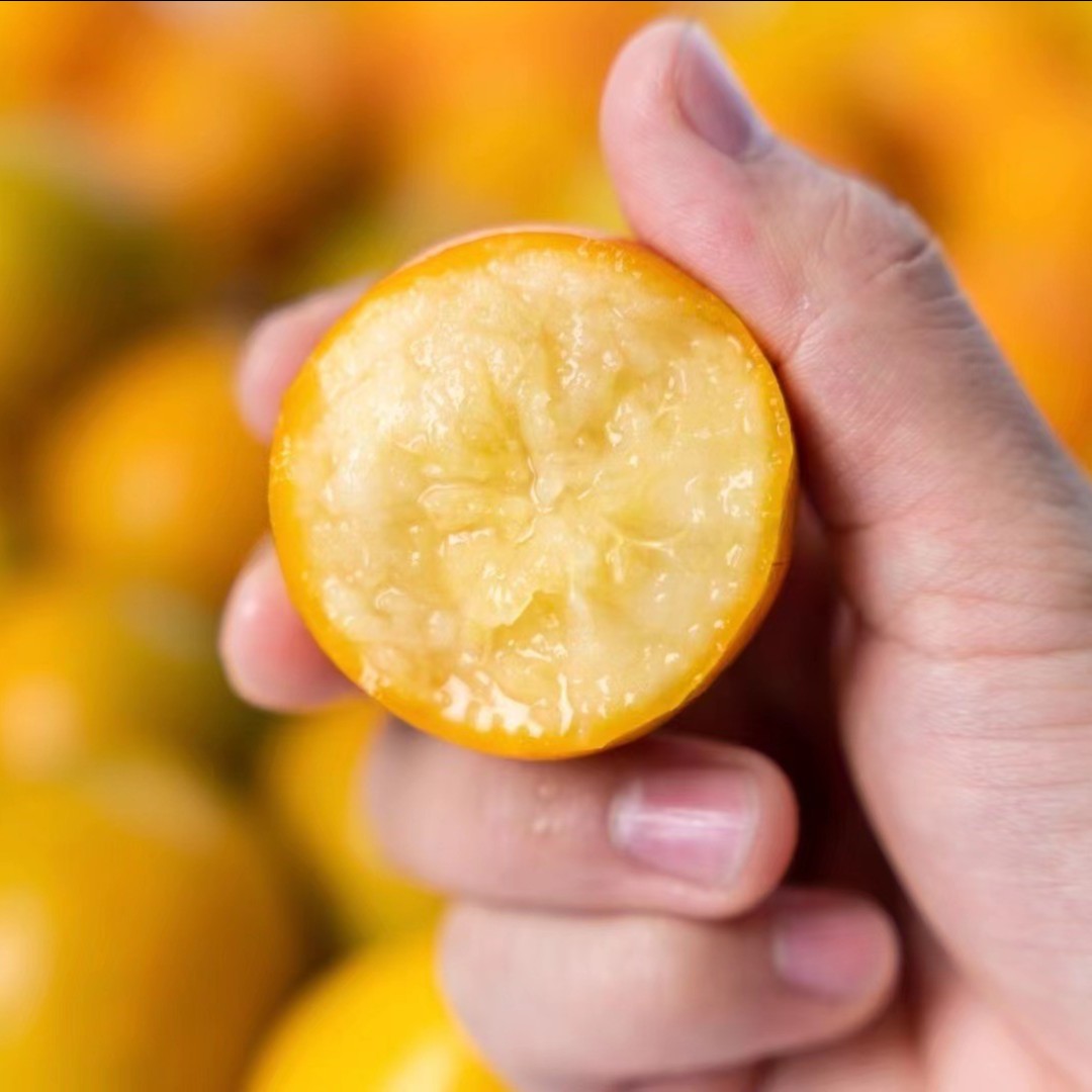 【陈灵岳甄选】当季优选第3代脆蜜金柑一箱 净重约1.5-3斤