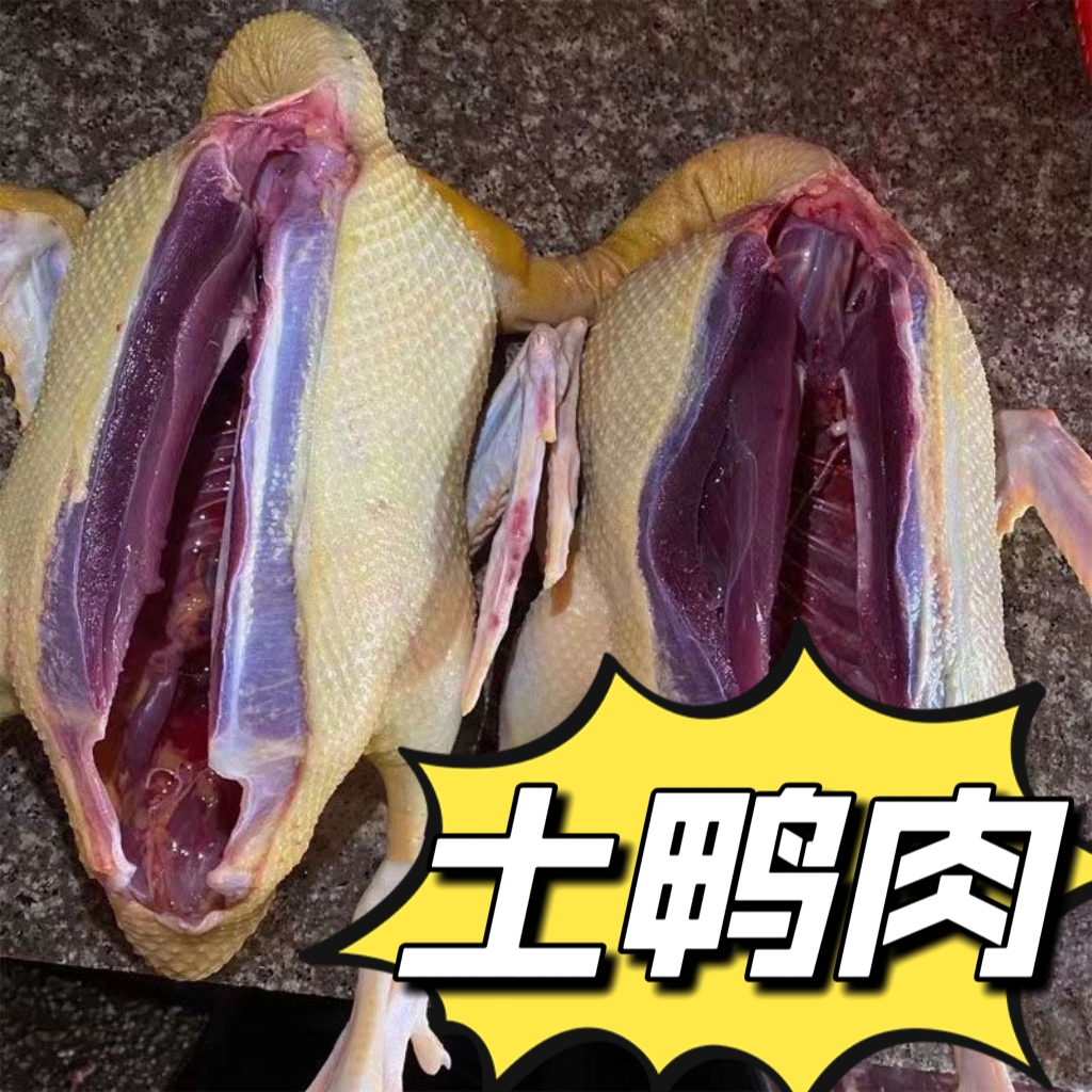 农村散养土麻鸭新鲜现杀美味适合煲汤（顺丰空运包邮）