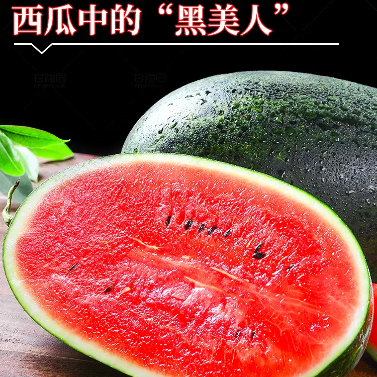 【缤纷可芒】黑美人西瓜（规格可选）大西瓜冰淇淋西瓜新鲜超甜