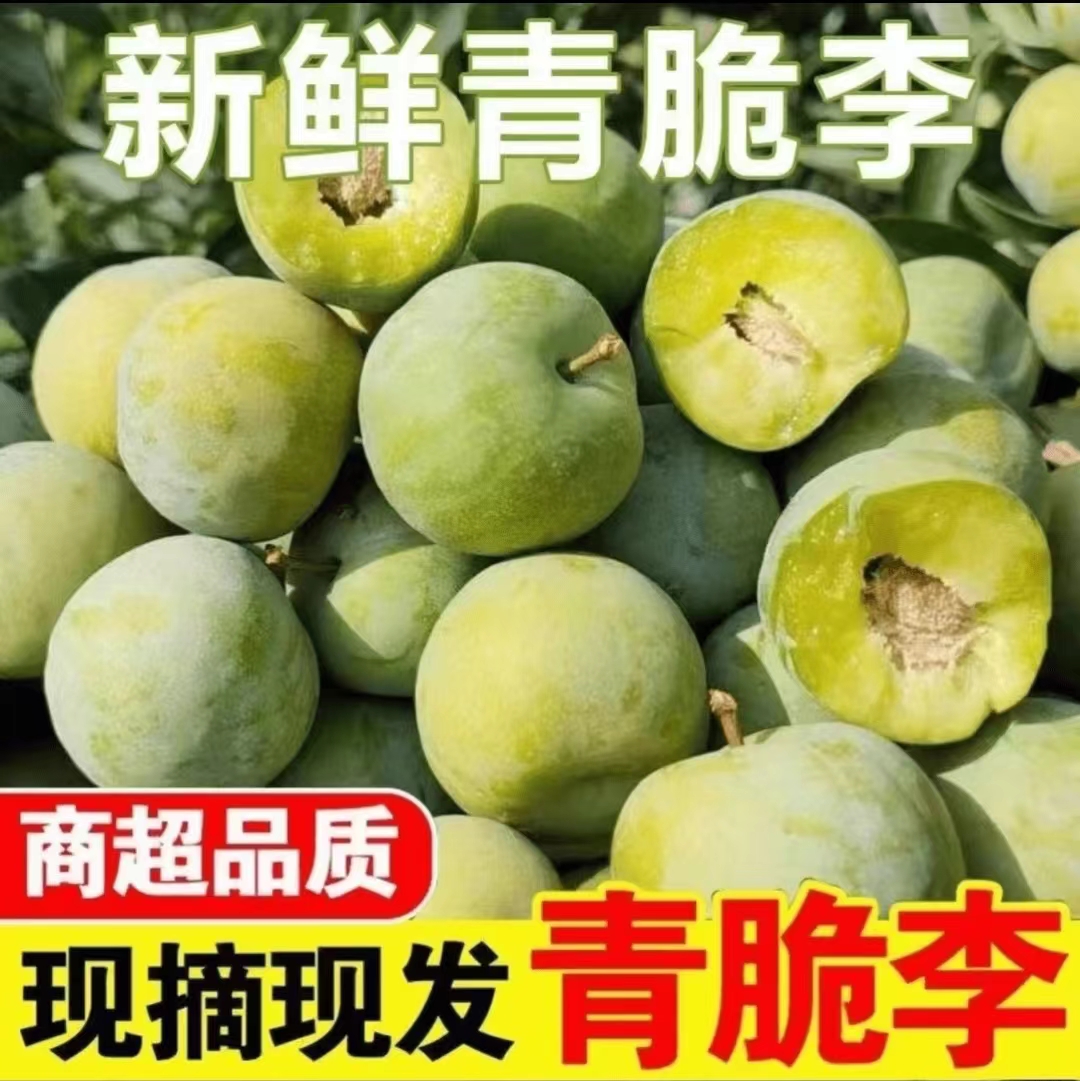 正宗四川清脆脱骨李半边红青脆李新鲜采摘现摘现发到手五斤