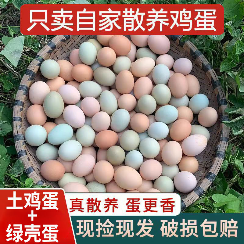 【阿妹家】买20枚土鸡蛋送20枚乌鸡蛋共40枚  能给好评在拍