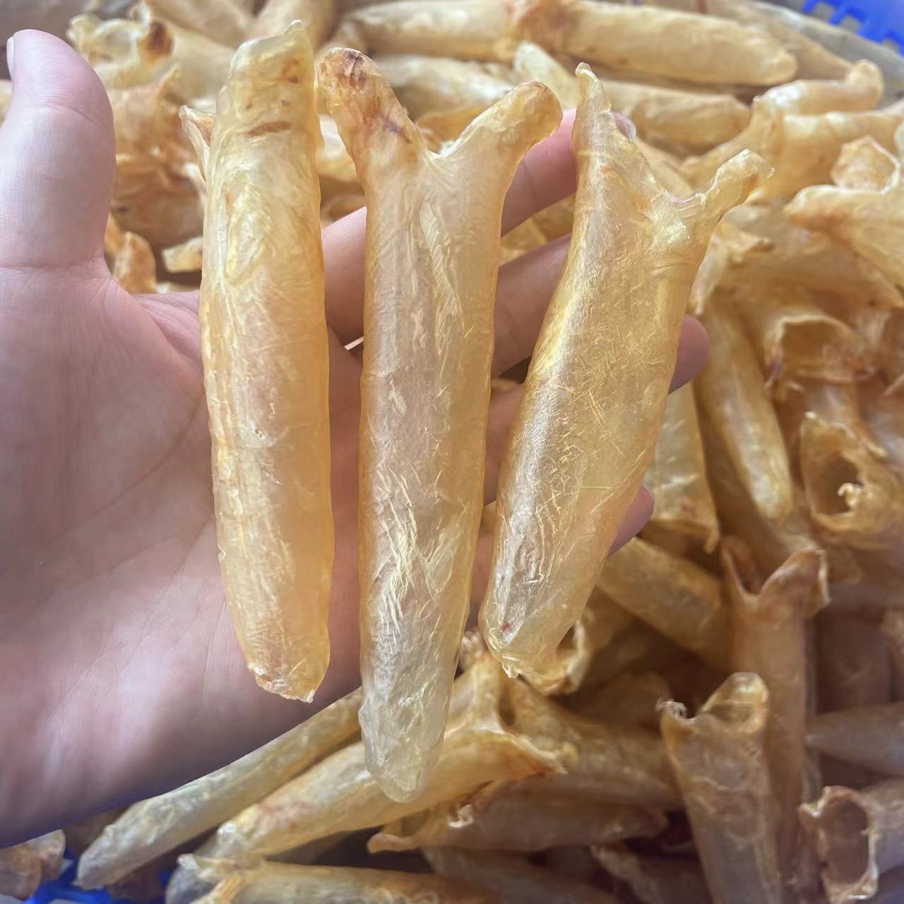 75-80头黄花胶鱼胶 4年老胶 足干