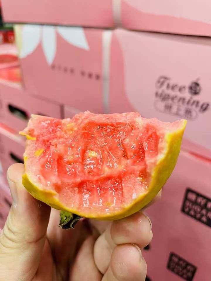 【草莓冰淇淋】糖丫丫树熟草莓芭乐4斤左右新鲜