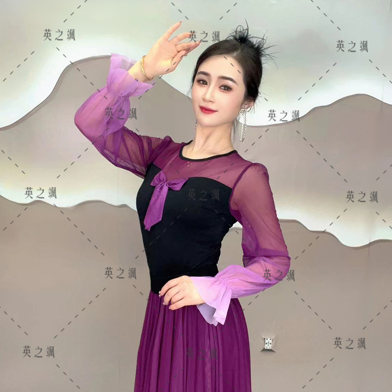 【英之飒】渐变长袖跳舞上衣连体显瘦长袖舞服跳舞百搭短款小众2178