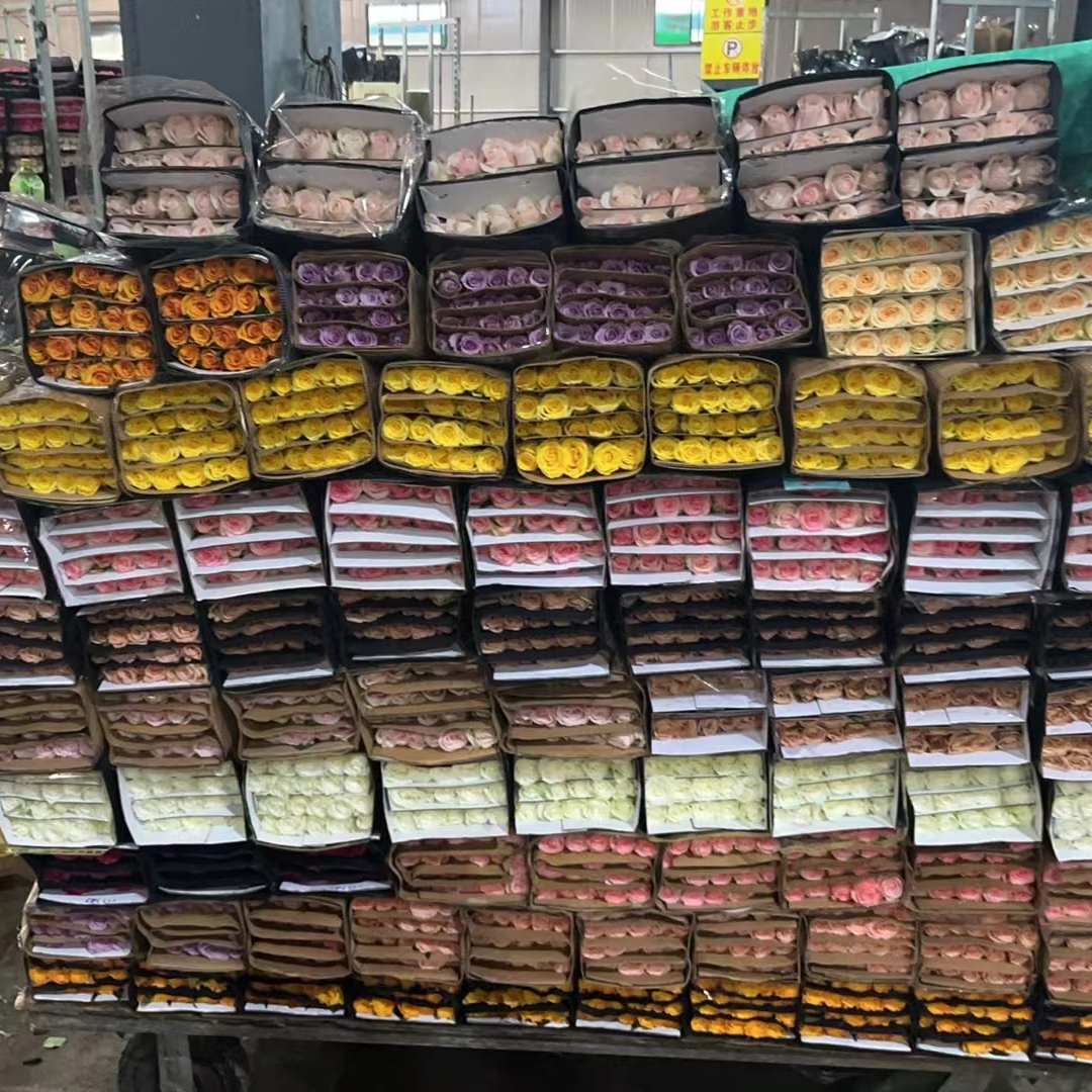 鲜花单头玫瑰，收到第一时间醒花