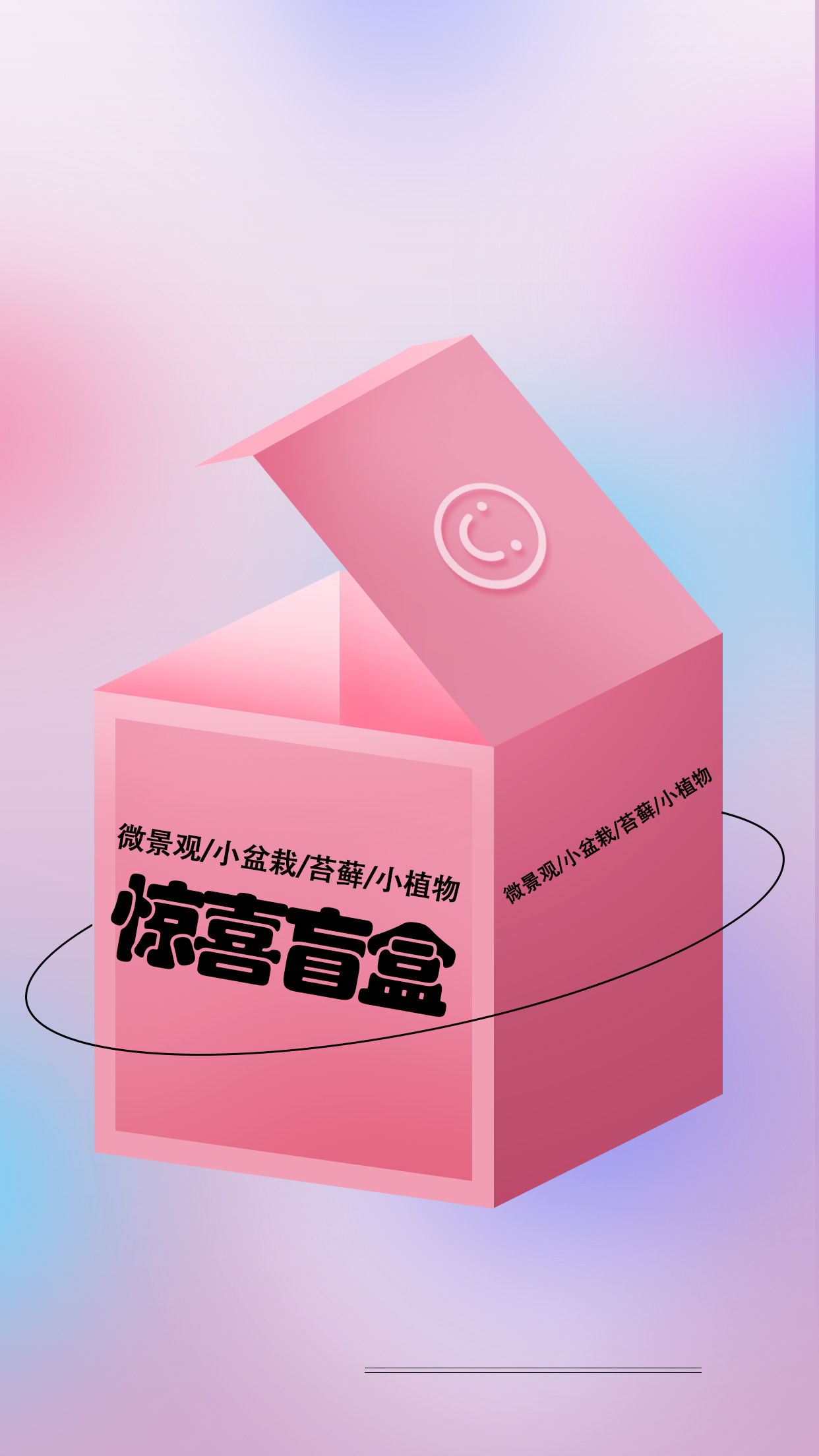 惊喜盲盒   随机发货   小植物 /微景观 /小盆栽 /苔藓