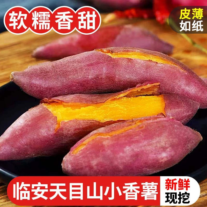 临安天目山小香薯无丝新鲜现挖现发红薯5斤装