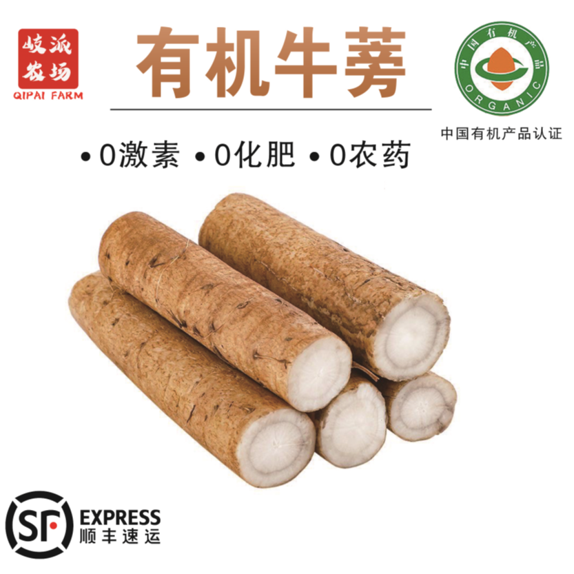 【顺丰包邮】有机牛蒡0药残0农残0化肥0激素有机认证现挖现发3斤 