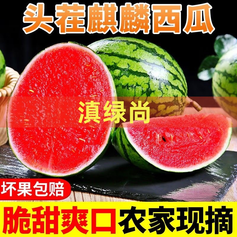 【精品】云南红河麒麟甜西瓜新鲜水果当季麒麟小西瓜甘甜多汁