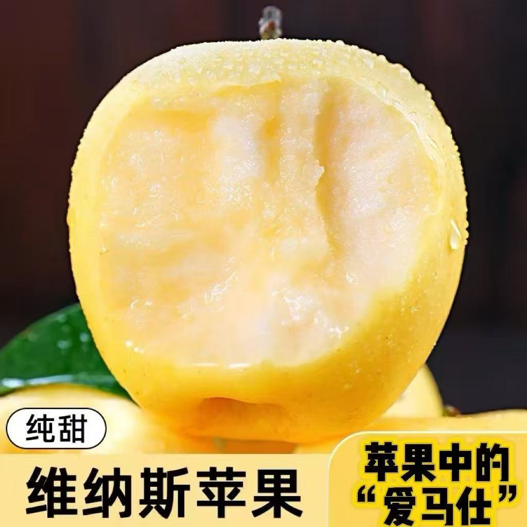 黄金维纳斯苹果正宗山东烟台脆甜冰糖新鲜孕妇水果非奶油富士整箱