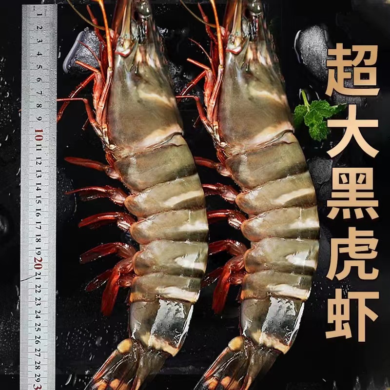 8只/盒巨型黑虎虾22-26cm/只、100-110g/只活虾单冻新鲜鲜嫩海捕虾