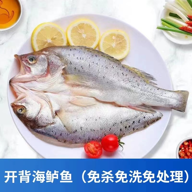 5条5斤以上开背鲈鱼500g/条 新鲜免处理海鲈鱼冷冻食用鲜嫩美味鲜